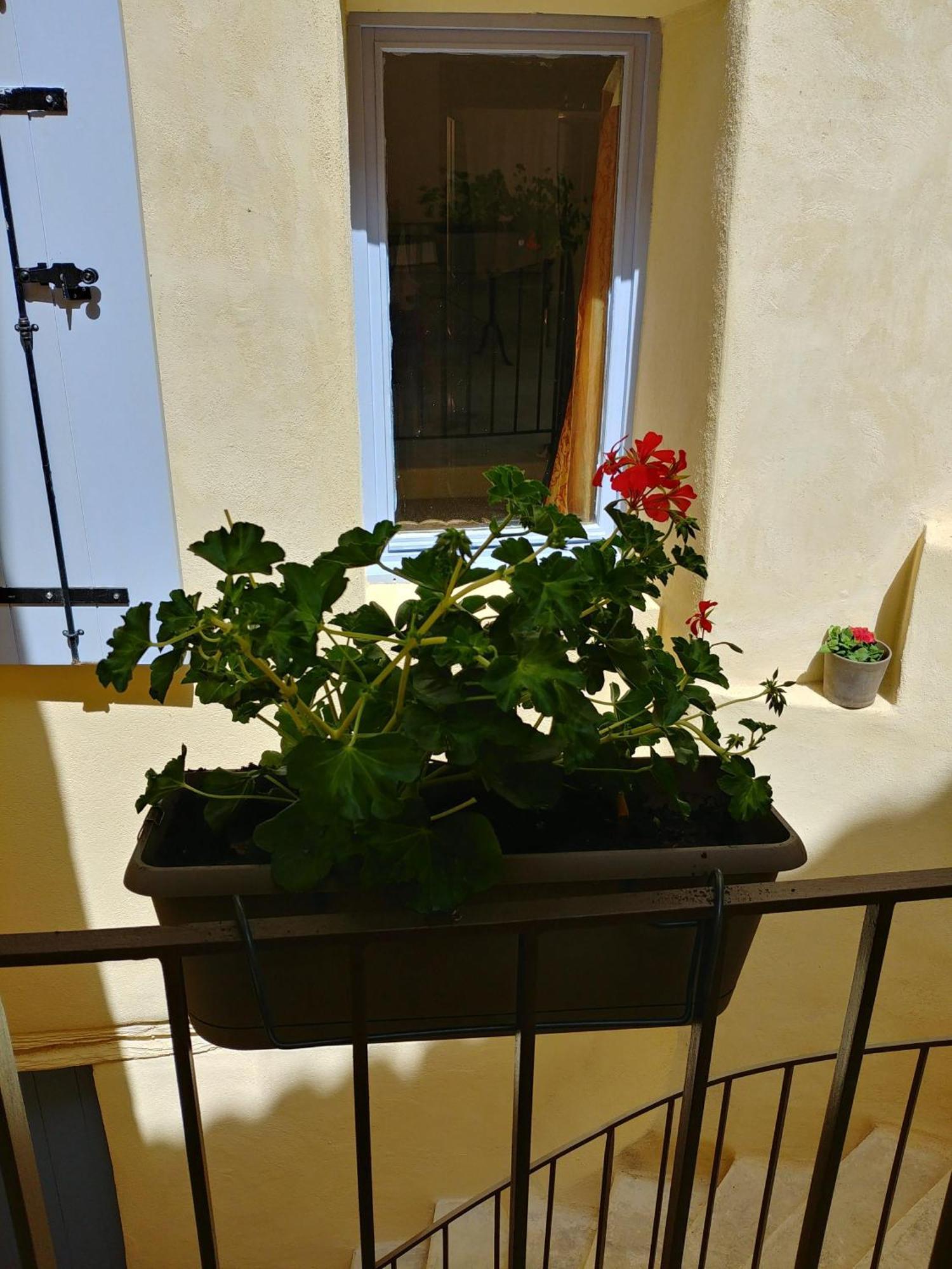Gite Pilpoil Sault-de-Vaucluse Zewnętrze zdjęcie
